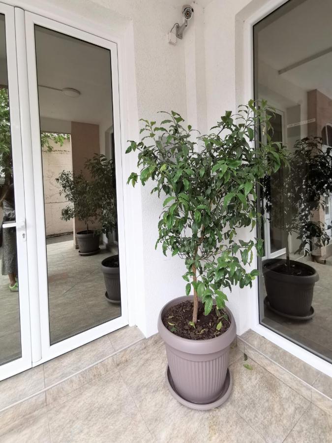 Hotel Suzana Budva Exterior foto